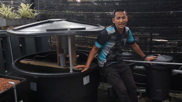 Apa Punca Ikan SIAKAP Mati | Cara Atasi Masalah Ammonia | Cara Naikkan pH Dalam Tangki Ternakan | смотреть онлайн