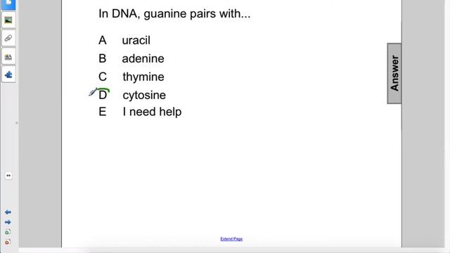 Bio Genes DNA Replication Q03 смотреть онлайн
