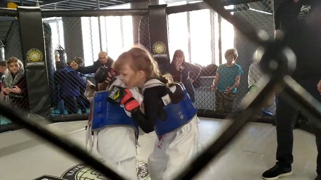 Рождественский турнир "Профессионал" смотреть онлайн