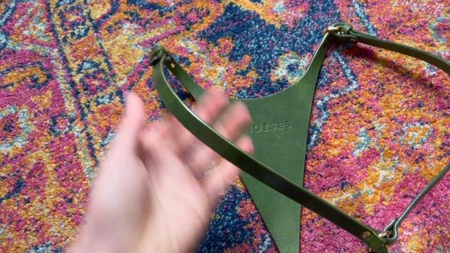 Anoeses Leather Lingerie Review