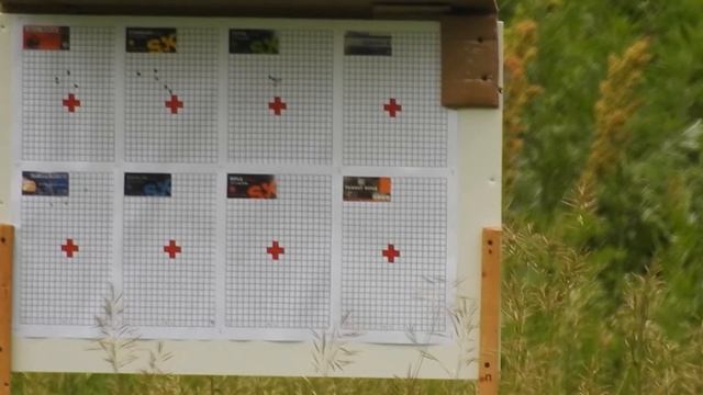 Sako Quad отстрел недорогих патронов на 100 метров