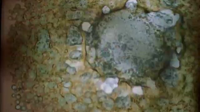 Neon Solitude смотреть онлайн