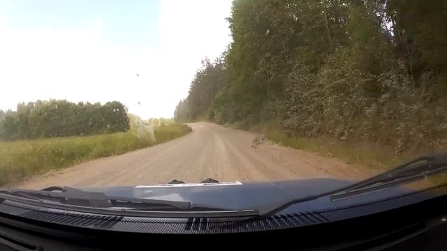 Ралли Белые Ночи 2016 СУ-11 Куркиеки смотреть онлайн