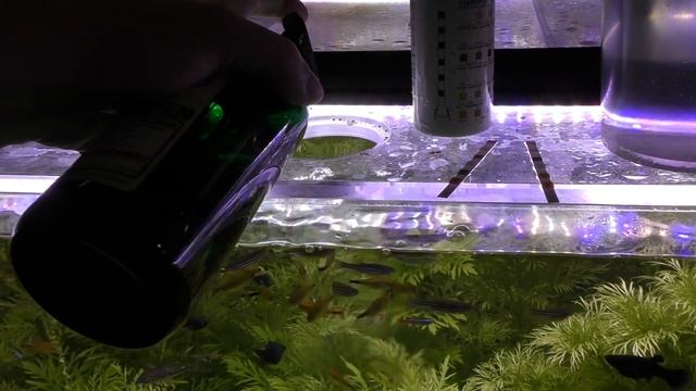 TDS meters are KILLING Shrimp and Fish. смотреть онлайн