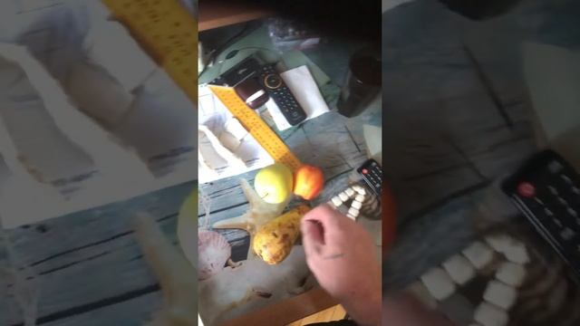 Четки из рога люкс смотреть онлайн