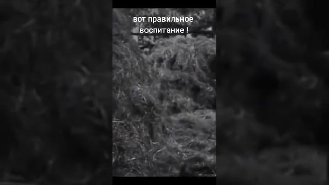 когда я плачу что я украл огурцы смотреть онлайн