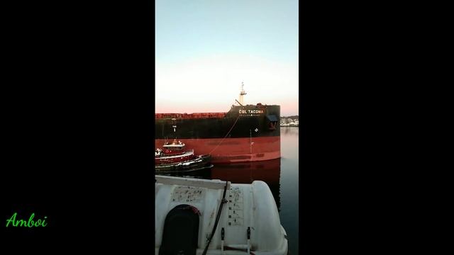 BULK CARRIER GUIDED BY A TUG BOAT⚓🛥️⛴️ смотреть онлайн