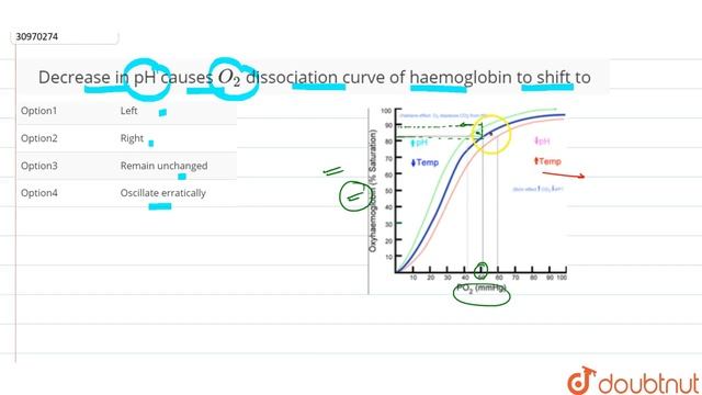 Decrease in pH causes `O_(2)` dissociation curve of . haemoglobin t6 shift to смотреть онлайн