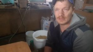протеиновая подкормка пчел.