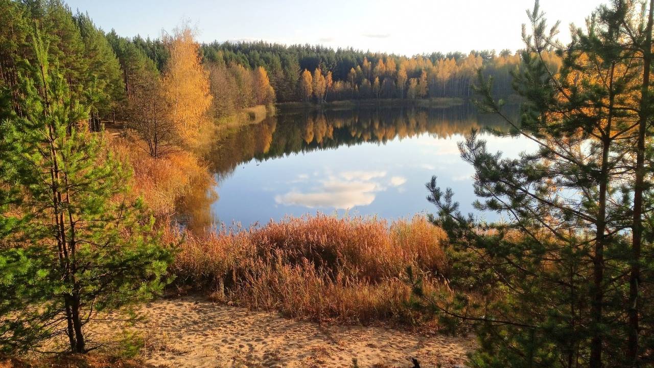 Мира дому вашему - Евич Василий (Cover) смотреть онлайн