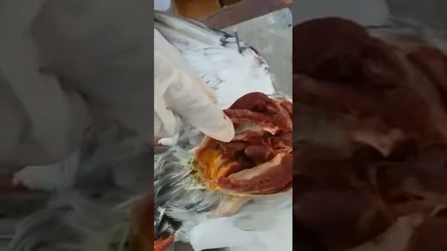 Pencernaan Pada Burung Merpati