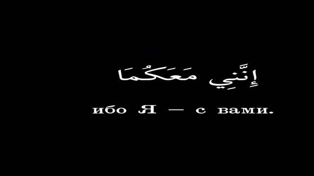 «Не бойтесь, ибо Я - с вами. Я слышу и вижу. Сура Та Ха: 46 #коран #shortvideo #quran #القرآن смотреть онлайн