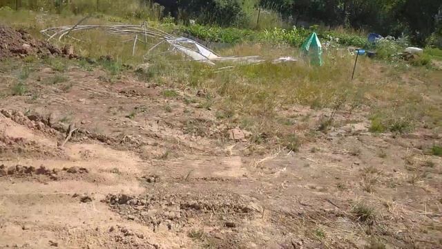 15 июля 2022 г. смотреть онлайн