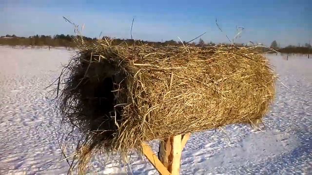 Гнёзда для уток смотреть онлайн