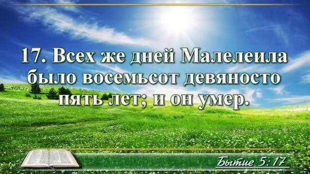 ВидеоБиблия Бытие глава 5 Бондаренко смотреть онлайн