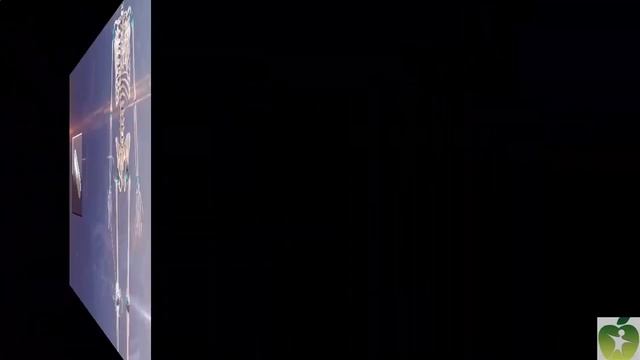 Путешествие во времени