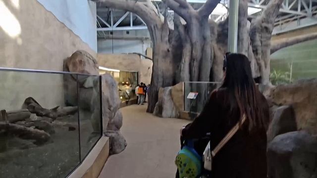 ANG DAMING HAYOP! | CALGARY ZOO VISIT | BUHAY CANADA смотреть онлайн