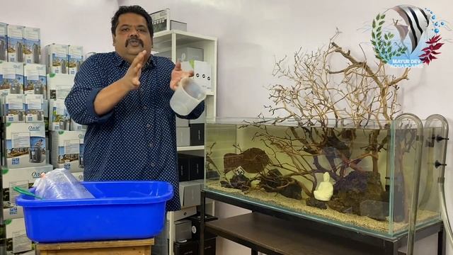 Indian Biotope Aquarium | Cauvery River | Fish Acclimatisation & Quarantine Mayur Dev's tips смотреть онлайн