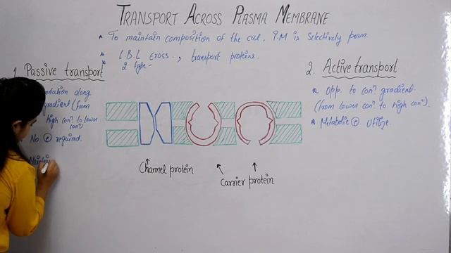 Transport Across Plasma Membrane || CBSE || NEET || смотреть онлайн