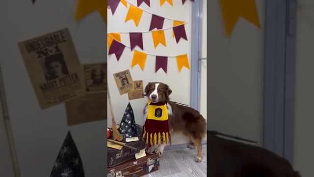 video-output-A38EBFAA-8357-4151-95BF-752D9AAD79D5 смотреть онлайн