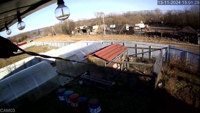 20241113_1 смотреть онлайн