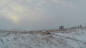 охота на зайца.