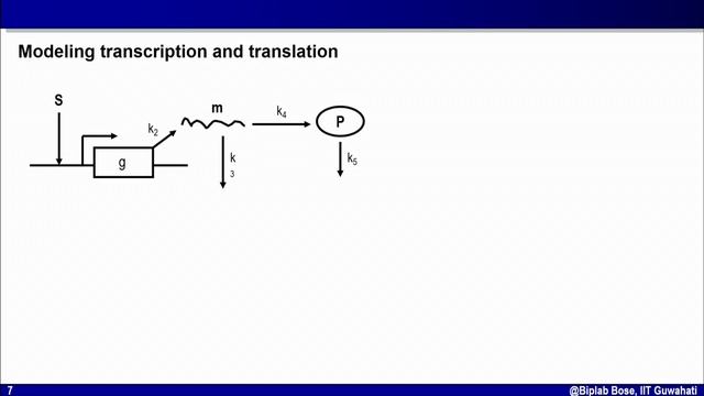 Modeling Molecular Processes in Cell:Transcription and Translation смотреть онлайн