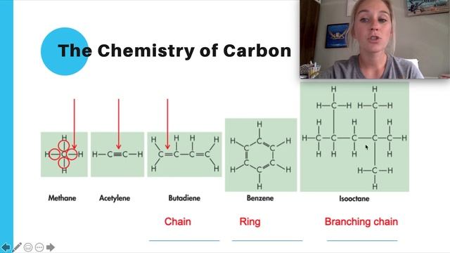 Chapter 2: Chemistry of Life смотреть онлайн