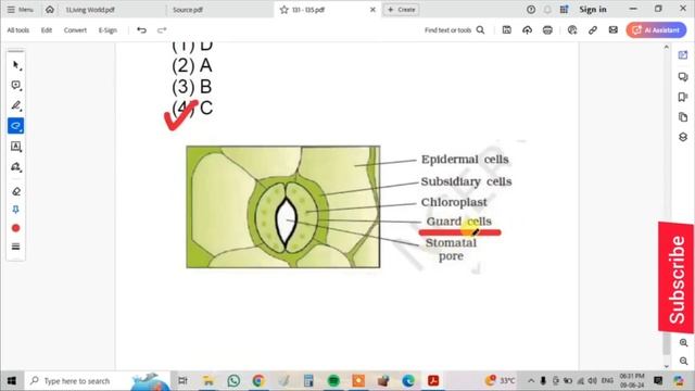 NEET 2024 Botany Questions with Ncert proof and Explanation #neet2024paper 😊 смотреть онлайн