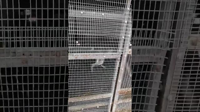 Прячусь от них, что-бы они меня не съели. смотреть онлайн