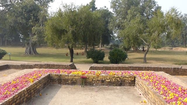 Роща Джеты смотреть онлайн