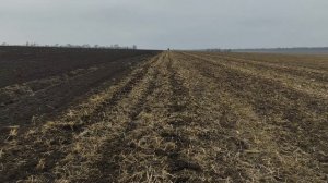 плоскорез в деле.безотвальная обработка почвы.