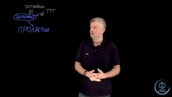 Биохимия: Взаимоотношения Пролактина и Эстрогенов