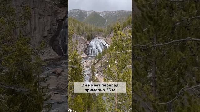 Удивительный водопад у дороги в Йеллоустоун #usa #сша#америка #nationalpark#национальныйпарк#travel