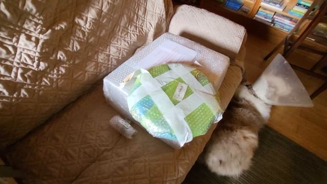 Unboxing my JVC QL 5 смотреть онлайн