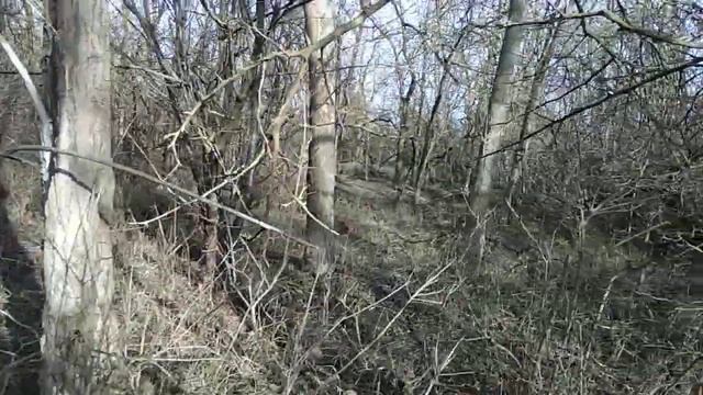 Лес Нижнезаморское Керчь.Воспоминания,Рассказ смотреть онлайн