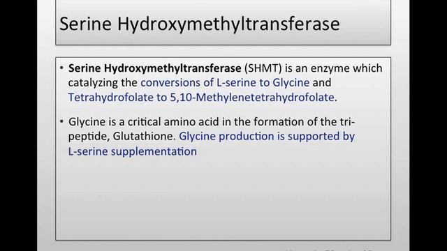 Clinical Applications of MTHFR Genomic Testing смотреть онлайн