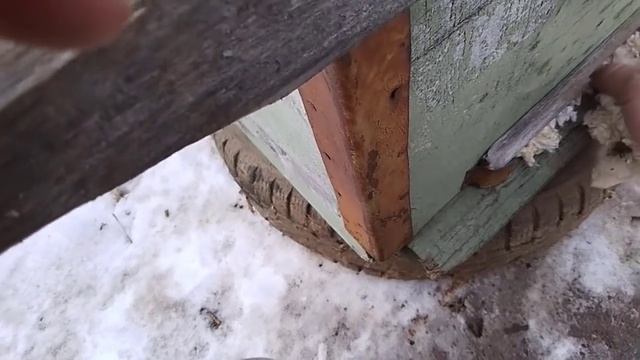 Вынесли папиных пчел))) смотреть онлайн