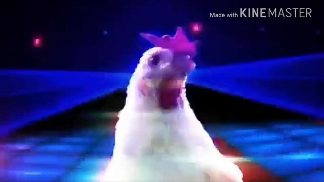 Techno de LA gallina смотреть онлайн