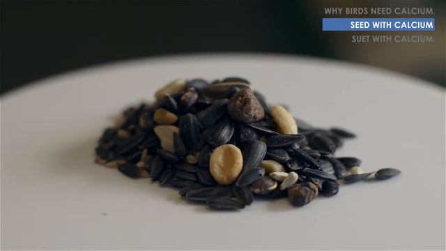 Calcium for Healthy Birds смотреть онлайн