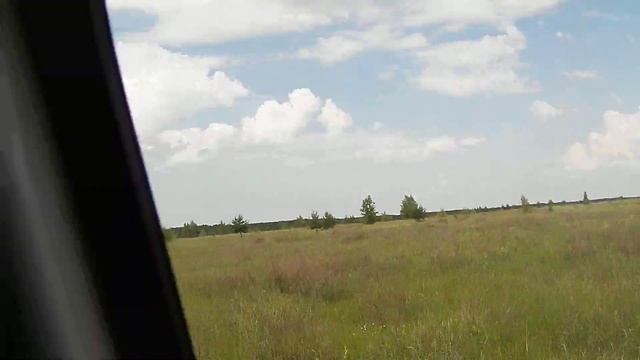 Едем кормить кабанчиков смотреть онлайн