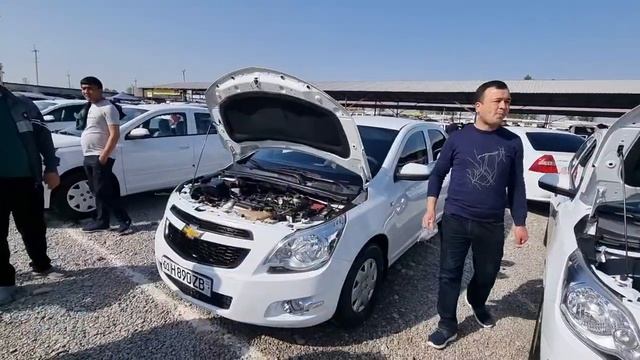 11 Aprel Cobalt Narxlari Varyantlari Namangan Norin Mashina Bozori 2024