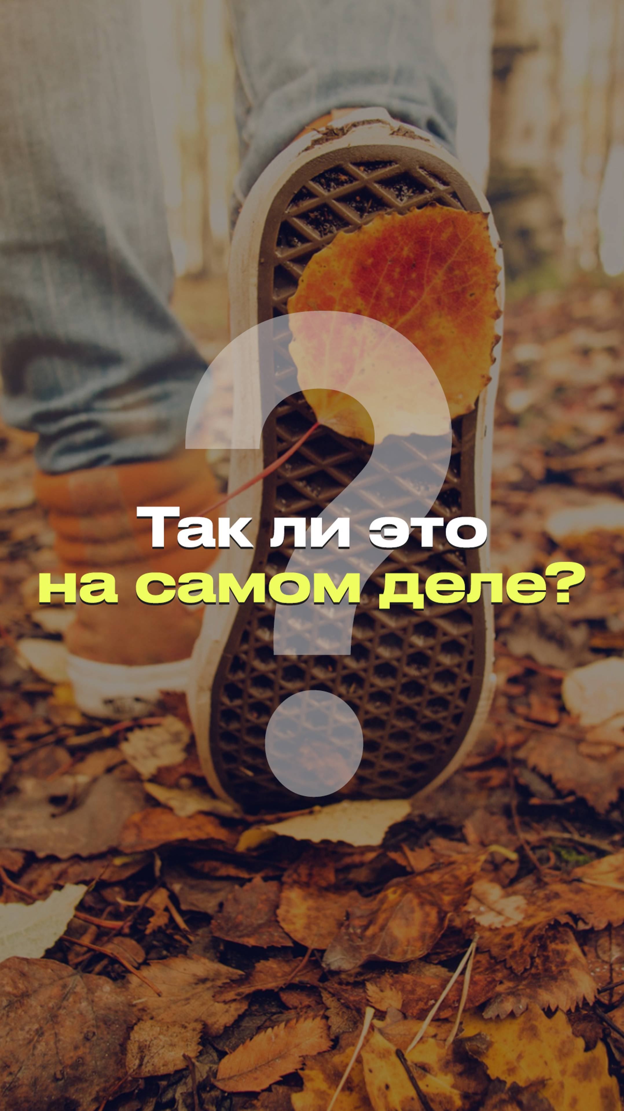 Как гулять правильно? #новости #факты #мифы смотреть онлайн