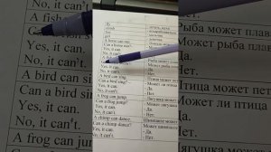 Всё по глаголу can за 2 класс: утвердительные, вопросительные предложения и виды ответов.