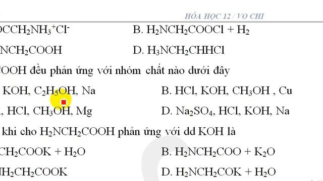 HÓA HỌC 12 - BÀI AMINOAXIT/CHI VO смотреть онлайн