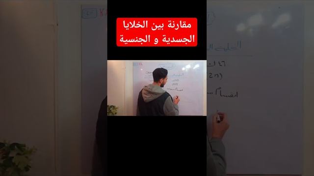المقارنة كاملة❤👆 смотреть онлайн
