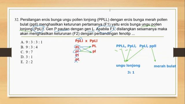 LATIHAN SOAL UTUL (UJIAN SEKOLAH) BIOLOGI NOMOR 31-35 смотреть онлайн
