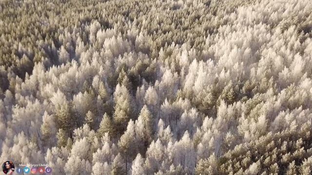 ВОССТАНОВЛЕНИЕ НЕРВНОЙ СИСТЕМЫ! Эту музыку можно слушать вечно! Музыка для лечения стресса смотреть онлайн