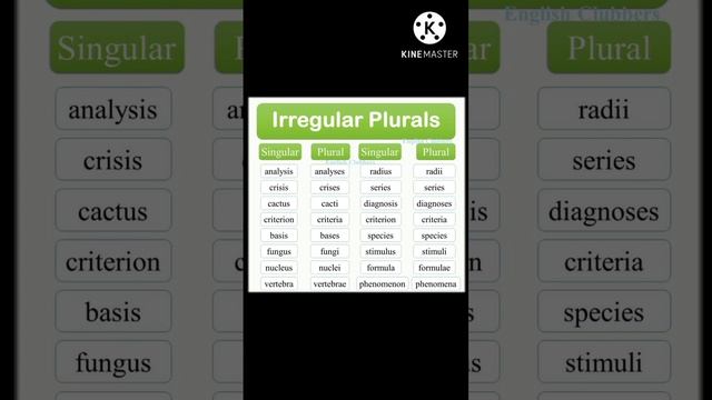 Irregular Plurals #ielts #ieltswriting #ieltslistening смотреть онлайн