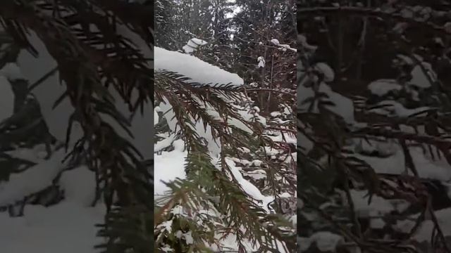 А, Вы знаете, что ???